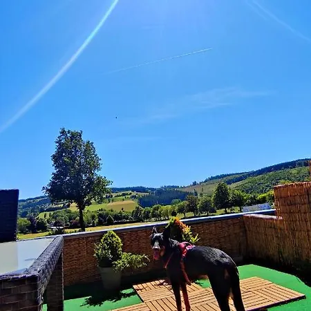 Bergblick Terrasse Winterberg